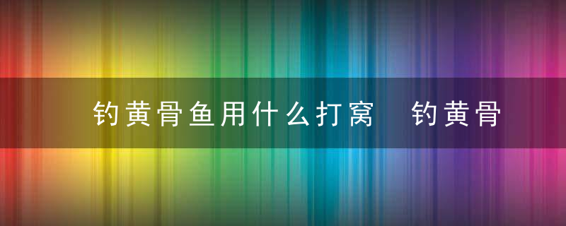 钓黄骨鱼用什么打窝 钓黄骨鱼打窝技巧